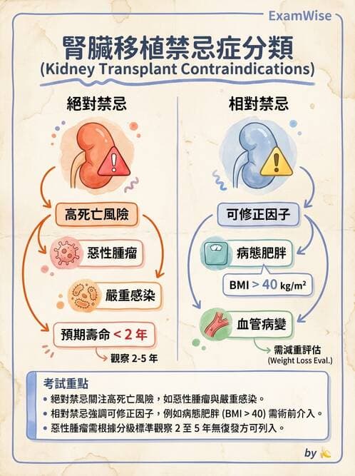 專師 - 腎臟移植 - AI 圖文解析預覽