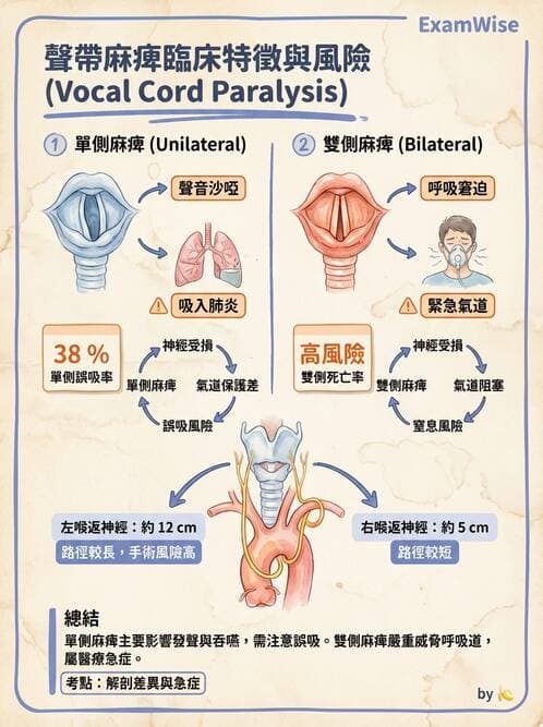 專師 - 頭頸腫瘤與甲狀腺 - AI 圖文解析預覽