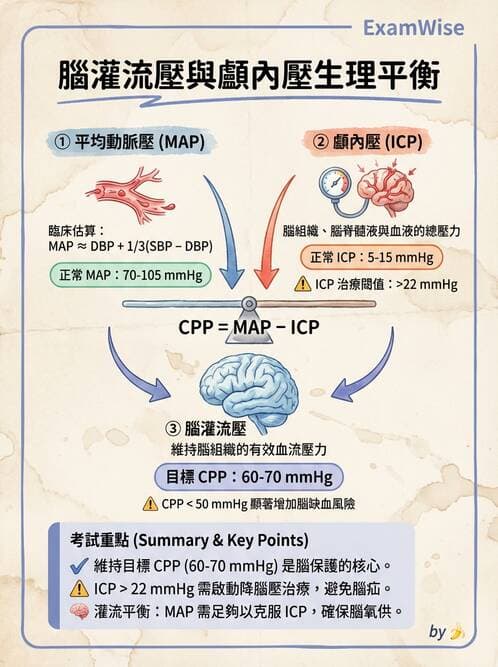 專師 - 頭部外傷與顱內壓 - AI 圖文解析預覽
