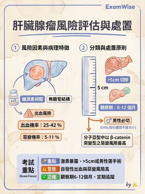 專師 - 肝腫瘤與肝臟手術 - AI 圖文解析預覽