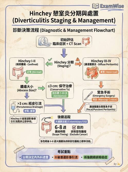 專師 - 腸道疾病與肛門直腸 - AI 圖文解析預覽