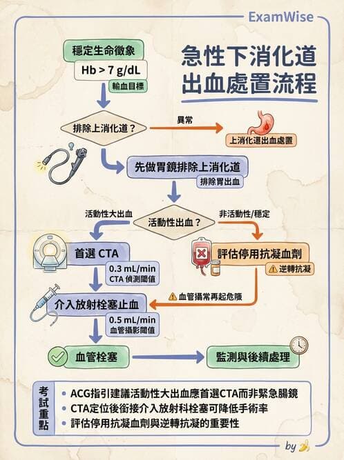 專師 - 腹部評估與急腹症 - AI 圖文解析預覽