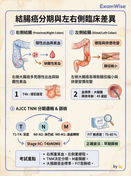 專師 - 大腸直腸癌與息肉 - AI 圖文解析預覽