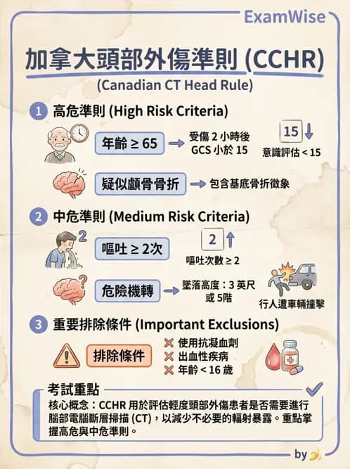專師 - 頭部外傷與顱內壓 - AI 圖文解析預覽
