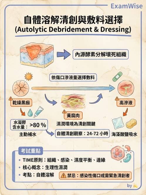 專師 - 壓瘡與慢性潰瘍 - AI 圖文解析預覽