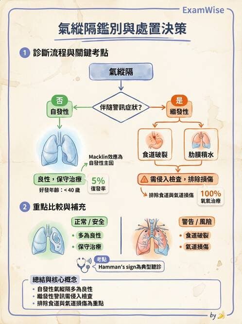 專師 - 氣胸 - AI 圖文解析預覽