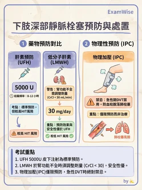 專師 - 術前評估與感染預防 - AI 圖文解析預覽