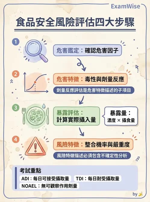 營養 - 食品安全性評估 - AI 圖文解析預覽