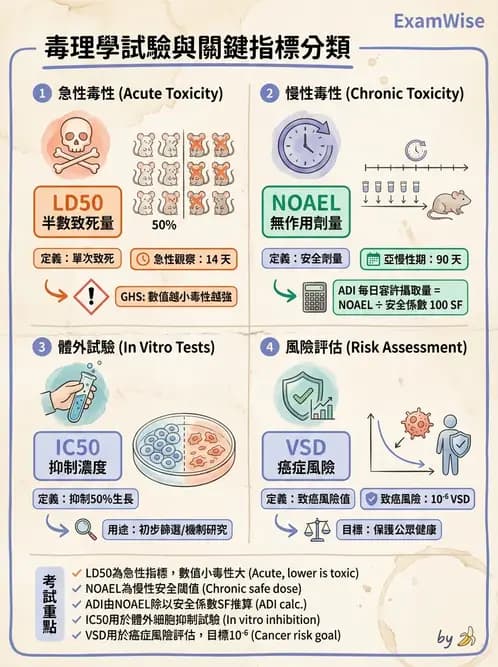 營養 - 食品安全性評估 - AI 圖文解析預覽