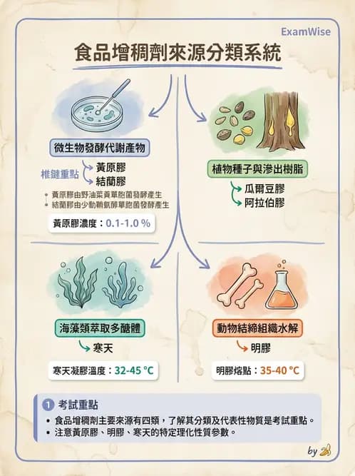 營養 - 食品添加物 - AI 圖文解析預覽