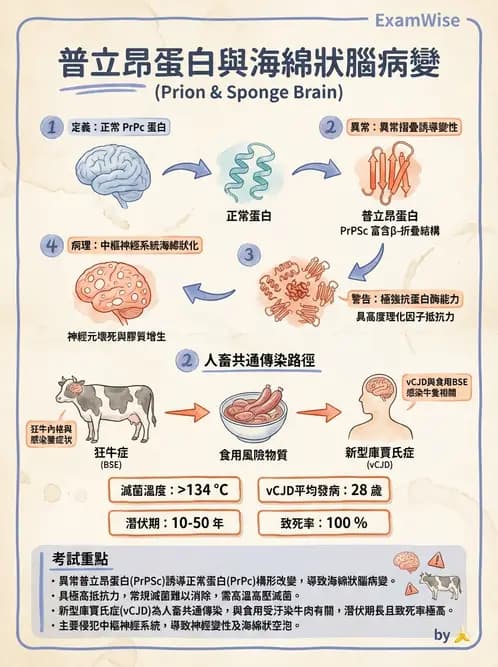 營養 - 生物性污染與寄生蟲 - AI 圖文解析預覽