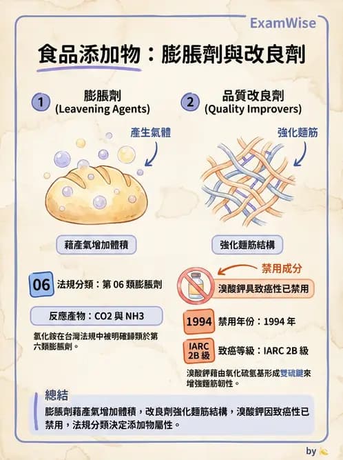 營養 - 食品添加物 - AI 圖文解析預覽