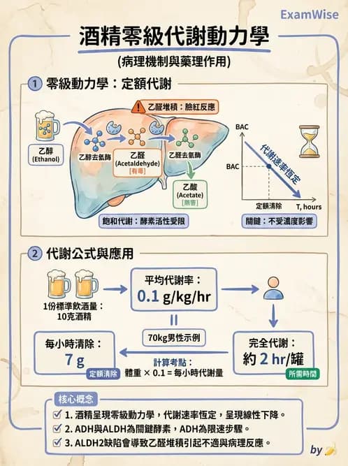營養 - 當代營養學相關議題 - AI 圖文解析預覽