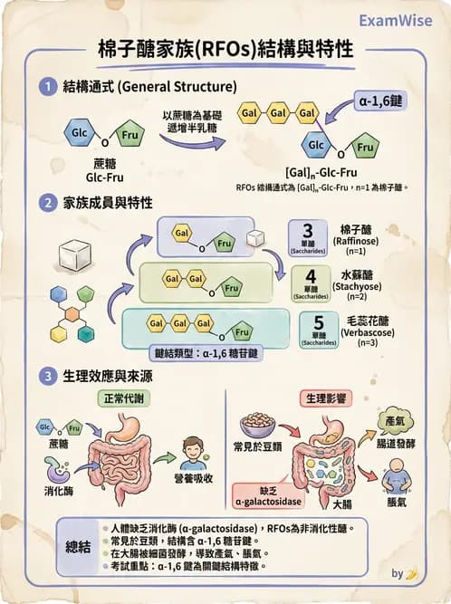 營養 - 醣類結構與膳食纖維 - AI 圖文解析預覽