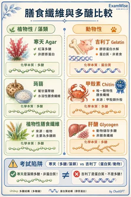 營養 - 醣類結構與膳食纖維 - AI 圖文解析預覽