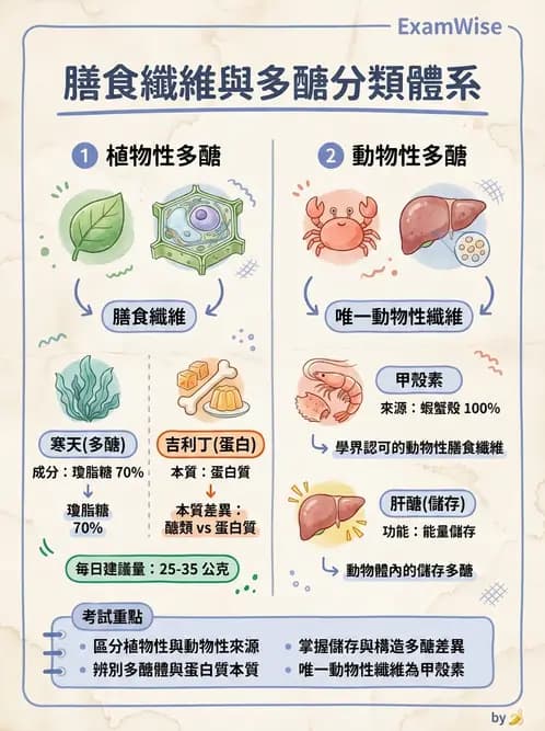 營養 - 醣類結構與膳食纖維 - AI 圖文解析預覽