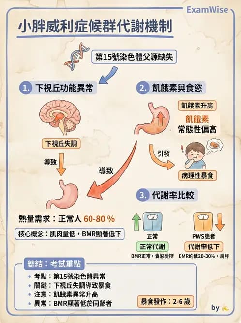 營養 - 當代營養學相關議題 - AI 圖文解析預覽