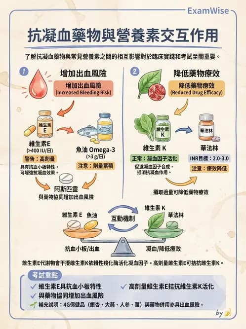 營養 - 維生素E - AI 圖文解析預覽