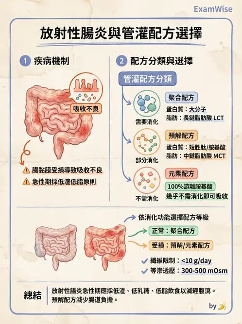營養 - 營養支持 - AI 圖文解析預覽