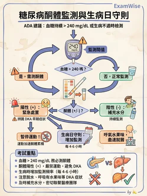 營養 - 糖尿病與代謝症候群 - AI 圖文解析預覽