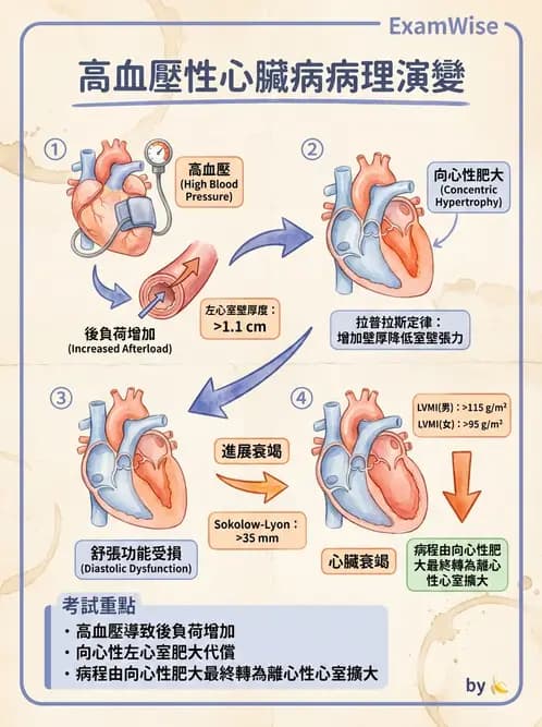 營養 - 心臟衰竭、移植與血脂管理 - AI 圖文解析預覽
