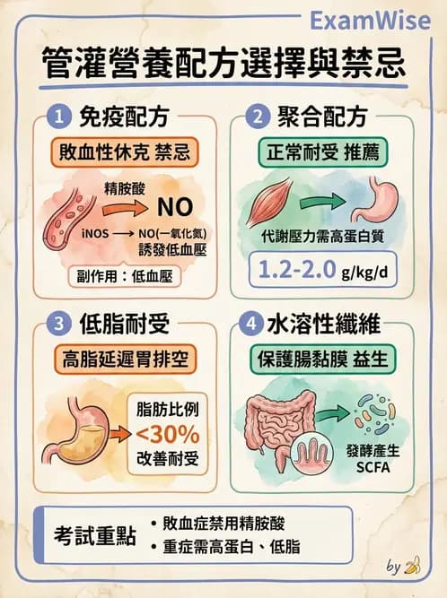營養 - 營養支持 - AI 圖文解析預覽