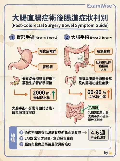 營養 - 癌症營養 - AI 圖文解析預覽