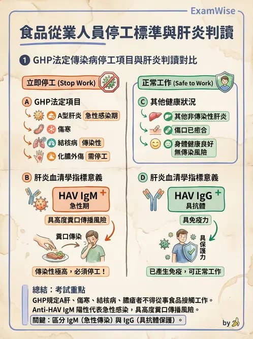 營養 - 食品安全衛生管理 - AI 圖文解析預覽