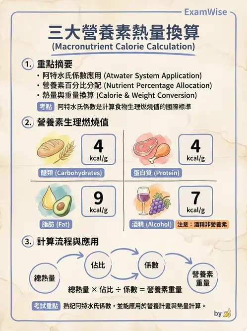 營養 - 食材用量計算與食物代換 - AI 圖文解析預覽