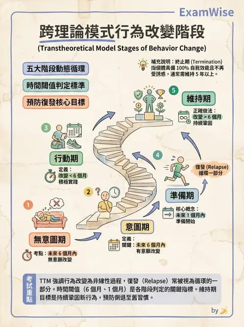 營養 - 健康行為改變理論 - AI 圖文解析預覽