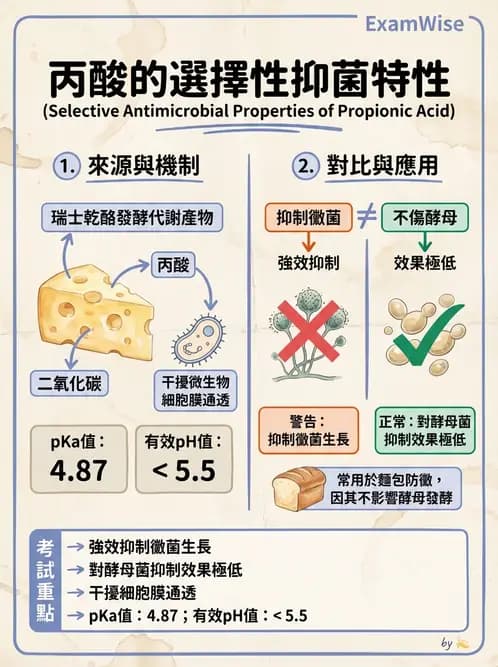營養 - 食品腐敗微生物學 - AI 圖文解析預覽