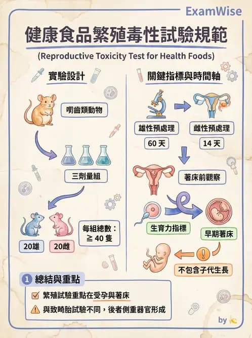 營養 - 食品安全性評估 - AI 圖文解析預覽