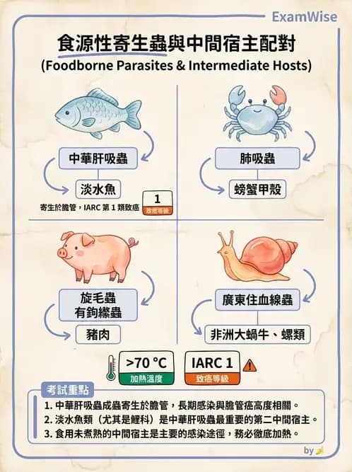 營養 - 生物性污染與寄生蟲 - AI 圖文解析預覽