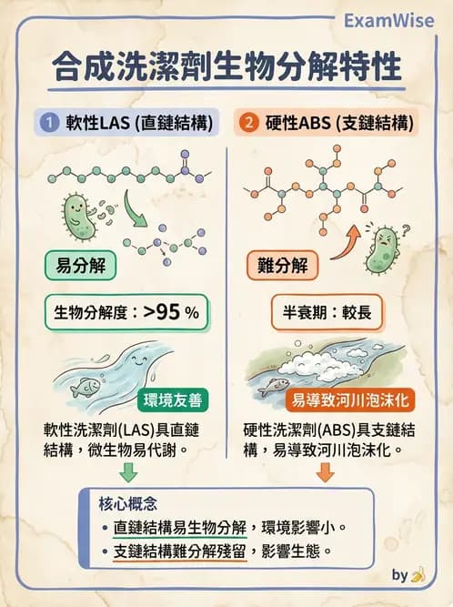 營養 - 食品用洗潔劑與殺菌消毒 - AI 圖文解析預覽