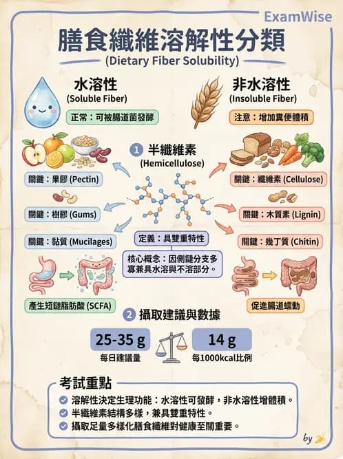 營養 - 醣類結構與膳食纖維 - AI 圖文解析預覽