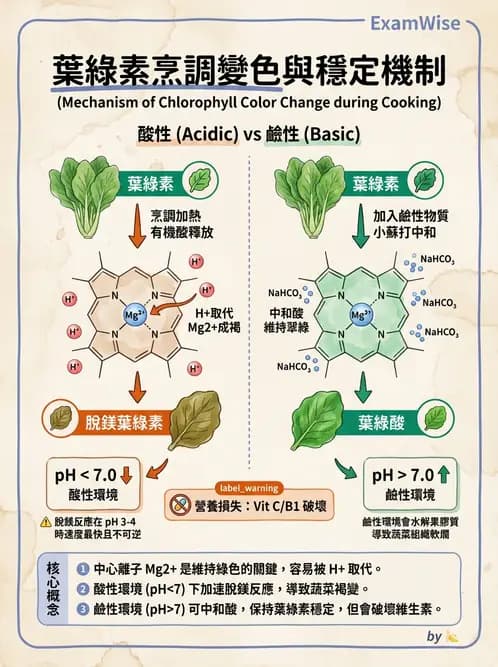 營養 - 當代營養學相關議題 - AI 圖文解析預覽
