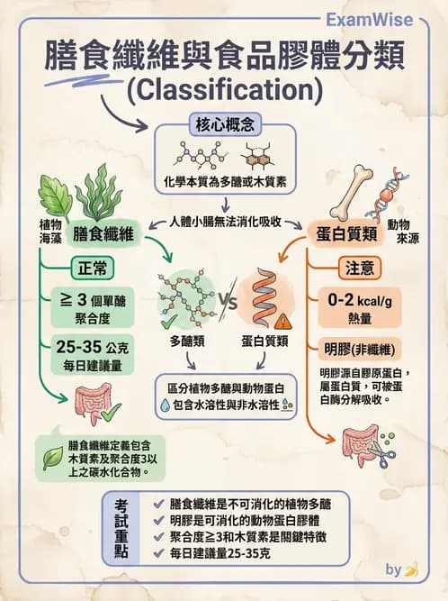 營養 - 醣類結構與膳食纖維 - AI 圖文解析預覽