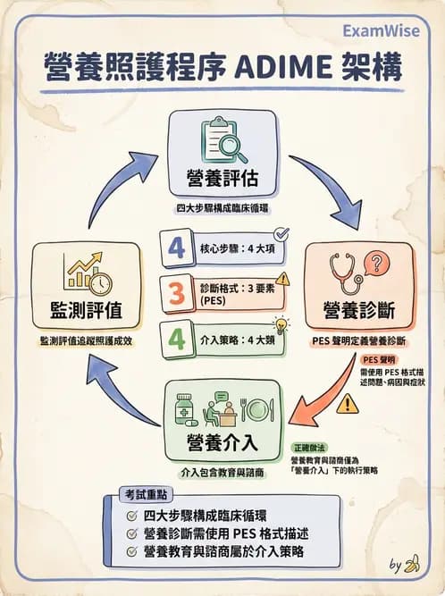 營養 - 營養評估與照護程序 - AI 圖文解析預覽