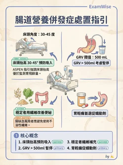營養 - 營養支持 - AI 圖文解析預覽