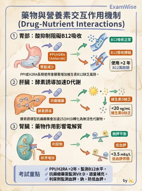 營養 - 藥物與營養素交互作用 - AI 圖文解析預覽