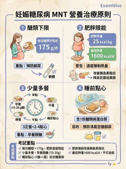 營養 - 糖尿病與代謝症候群 - AI 圖文解析預覽