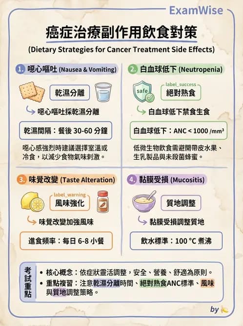 營養 - 癌症營養 - AI 圖文解析預覽