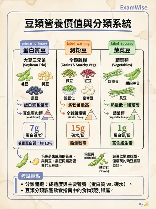 營養 - 動植物性食材製備原理 - AI 圖文解析預覽