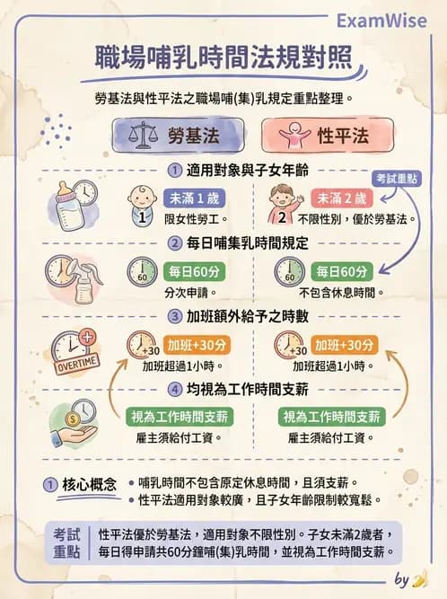 營養 - 母嬰與兒童營養政策 - AI 圖文解析預覽