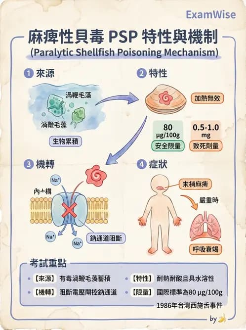 營養 - 天然毒素 - AI 圖文解析預覽
