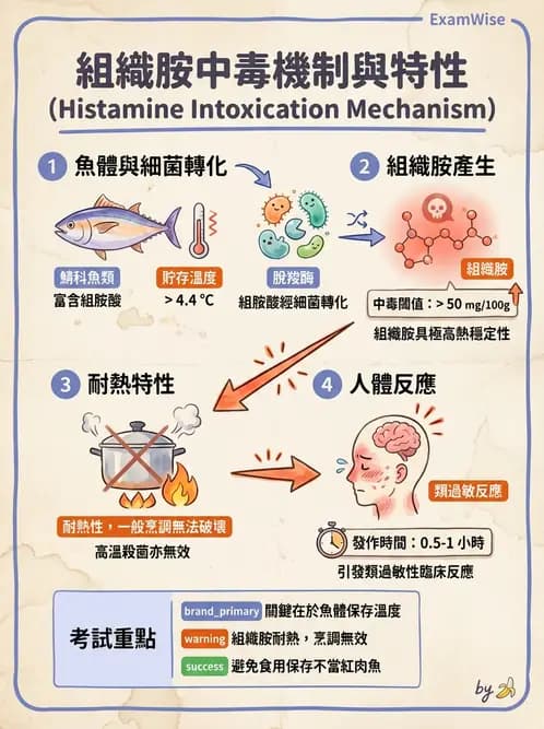 營養 - 天然毒素 - AI 圖文解析預覽