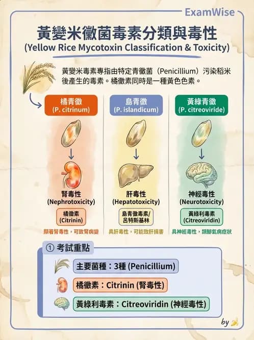 營養 - 天然毒素 - AI 圖文解析預覽