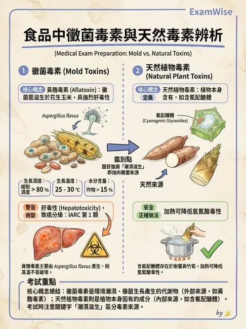 營養 - 天然毒素 - AI 圖文解析預覽