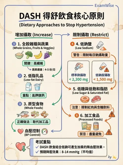 營養 - 當代營養學相關議題 - AI 圖文解析預覽