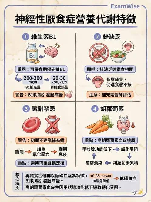 營養 - 體重管理與攝食異常 - AI 圖文解析預覽